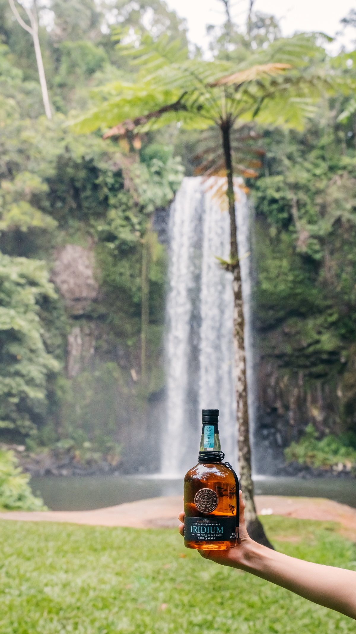 Millaa Millaa Falls, Atherton Tablelands