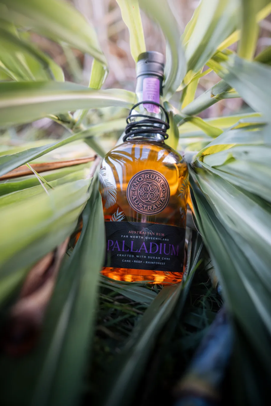 The current FNQ Rum Co. Palladium bottle lying among sugarcane leaves, its front label reading Australian Rum, Far North Queensland, Palladium, crafted with sugar cane